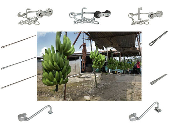 Rullo industriale della teleferica della banana dell'azienda agricola 250KG per l'hardware facile di trasporto