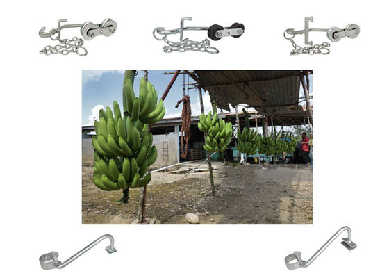 la banana 150kg-220KG aggancia i rulli d'attaccatura per l'attrezzatura di trasporto facile