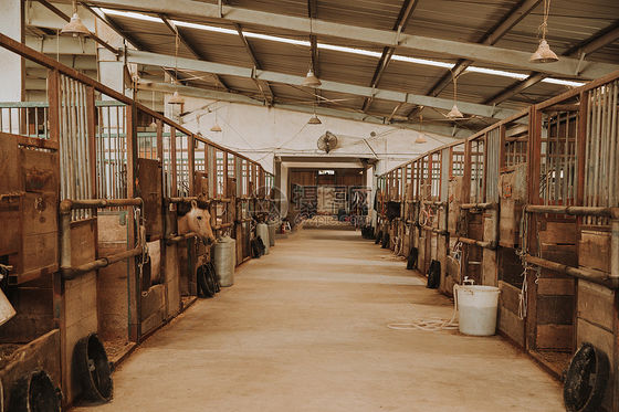 Rullo industriale della teleferica della banana dell'azienda agricola per l'attrezzatura di trasporto facile
